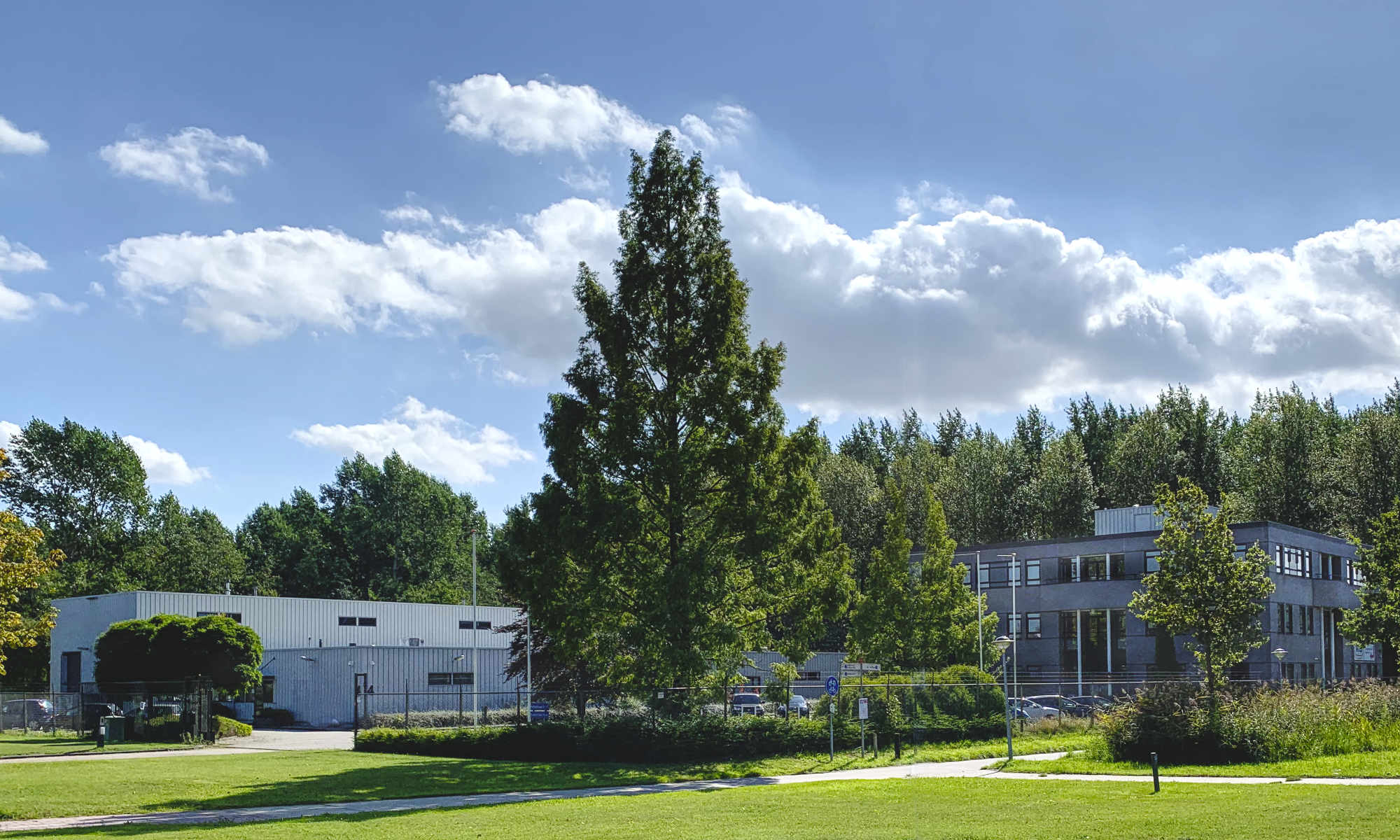 Mobile image